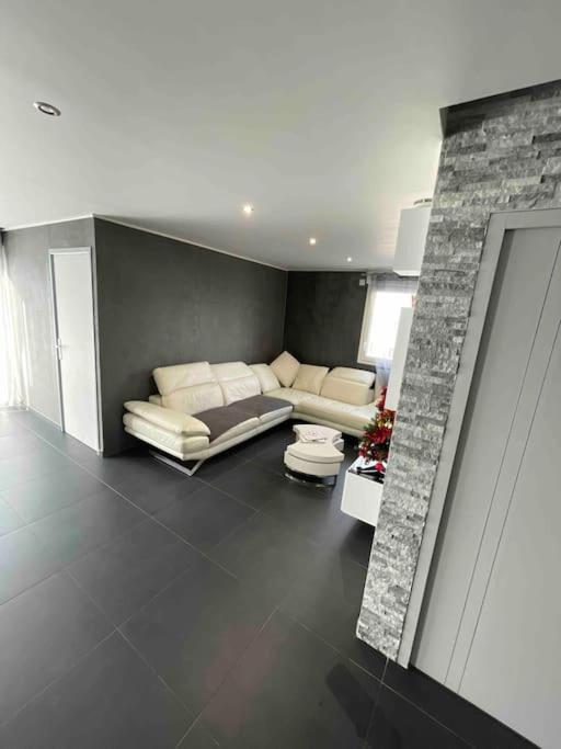Grand Appartement Avec Vue Magnifique - Vercors - Une Experience Unique - Wifi Gratuit Grenoble Exterior photo