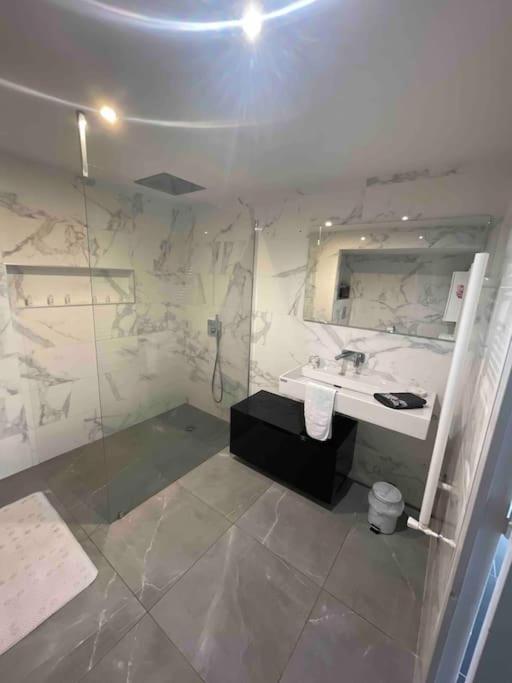 Grand Appartement Avec Vue Magnifique - Vercors - Une Experience Unique - Wifi Gratuit Grenoble Exterior photo