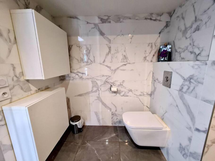 Grand Appartement Avec Vue Magnifique - Vercors - Une Experience Unique - Wifi Gratuit Grenoble Exterior photo