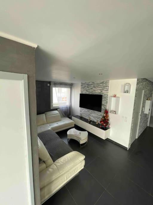 Grand Appartement Avec Vue Magnifique - Vercors - Une Experience Unique - Wifi Gratuit Grenoble Exterior photo